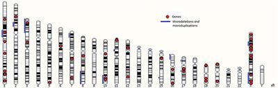 Molecular Mechanisms of Syndromic Cryptorchidism: Data Synthesis of 50 Studies and Visualization of Gene-Disease Network